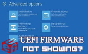 UEFI Firmware not showing in Advance Option