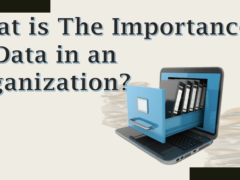 What is The Importance of Data in an Organization?