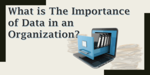 What is The Importance of Data in an Organization?