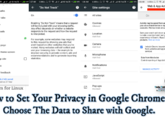 How to Set Your Privacy in Google Chrome & Choose The Data to Share with Google